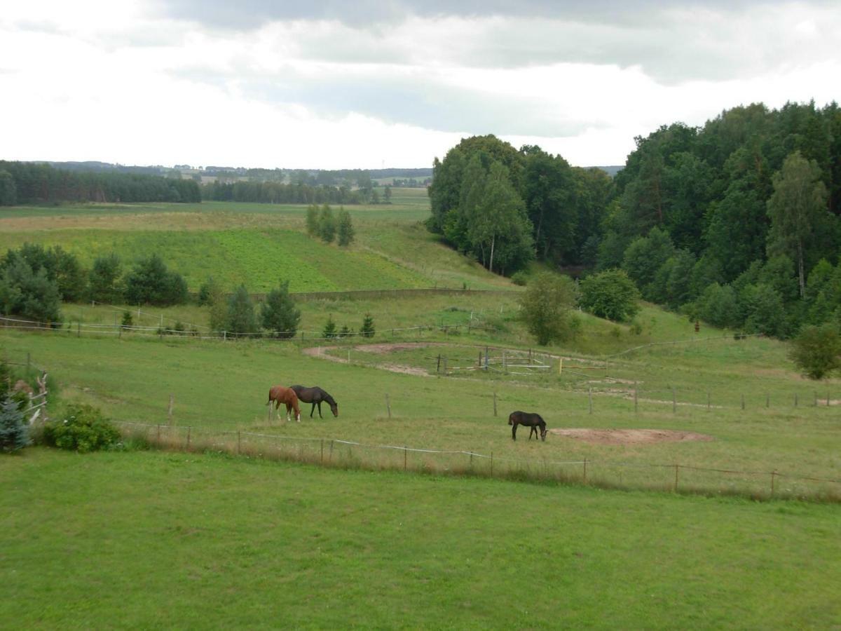 ケントシン Agroturystyka Owczarniaヴィラ エクステリア 写真